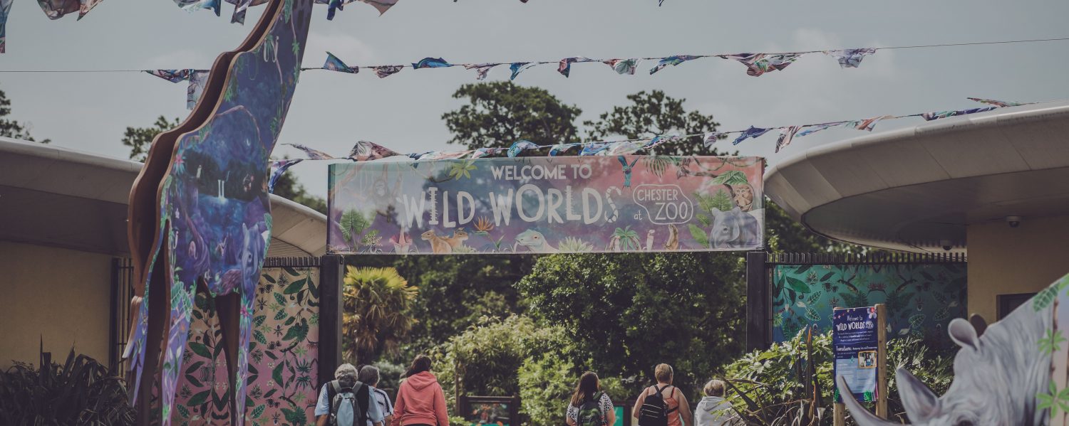Wild Worlds festival at Chester Zoo