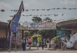 Wild Worlds festival at Chester Zoo