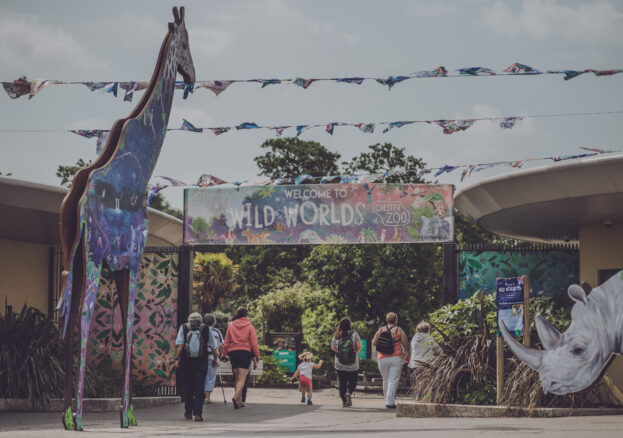 Wild Worlds festival at Chester Zoo