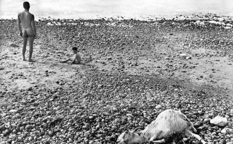 Beautiful world, where are you? at FACT – Liverpool Biennial 2018