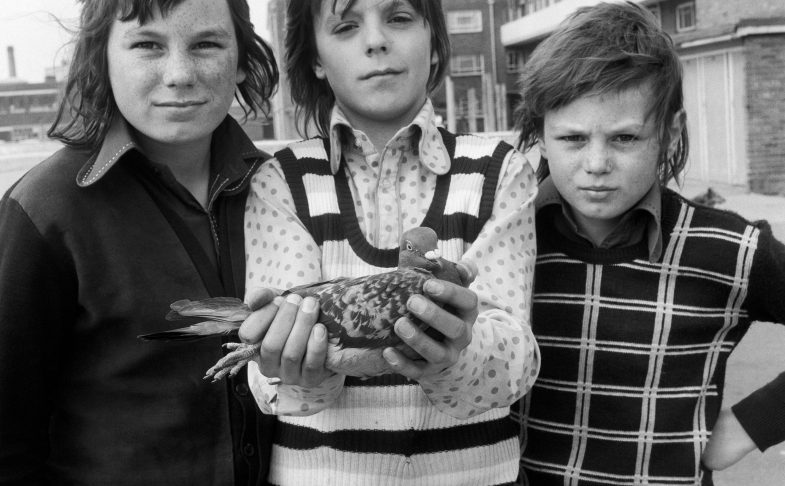 Modern Nature: British Photographs from the Hyman Collection at The Hepworth, Wakefield