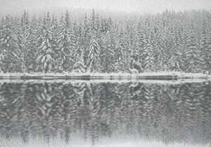 Dan Hays, Spring Snow, 2009. BIBLIOTECH: from bookshelf to big data at The Portico Library, Manchester