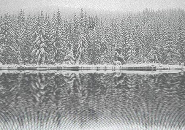 Dan Hays, Spring Snow, 2009. BIBLIOTECH: from bookshelf to big data at The Portico Library, Manchester