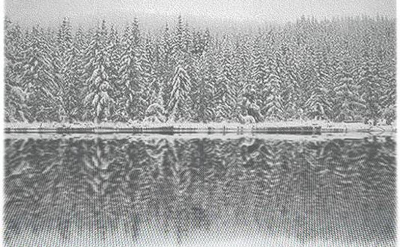 Dan Hays, Spring Snow, 2009. BIBLIOTECH: from bookshelf to big data at The Portico Library, Manchester