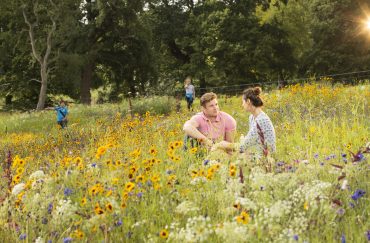 trentham gardens stoke on trent