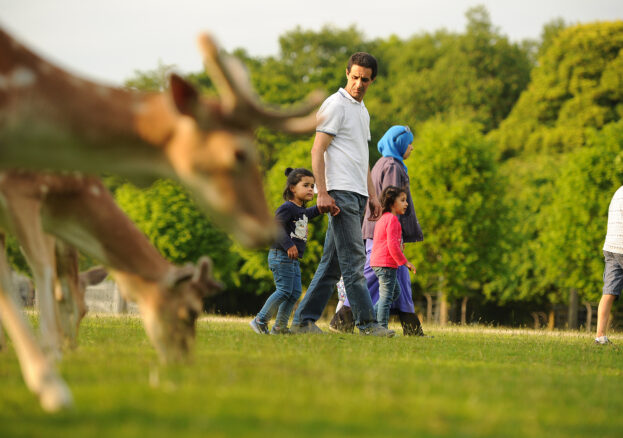 Deer Park at Dunham Massey