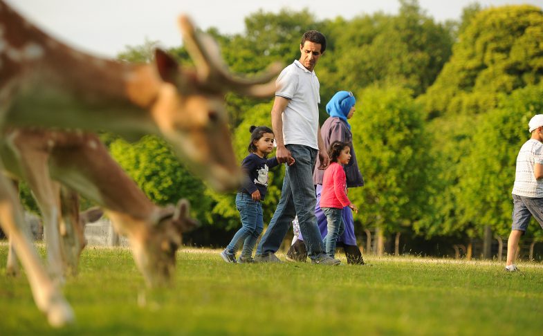 Deer Park at Dunham Massey