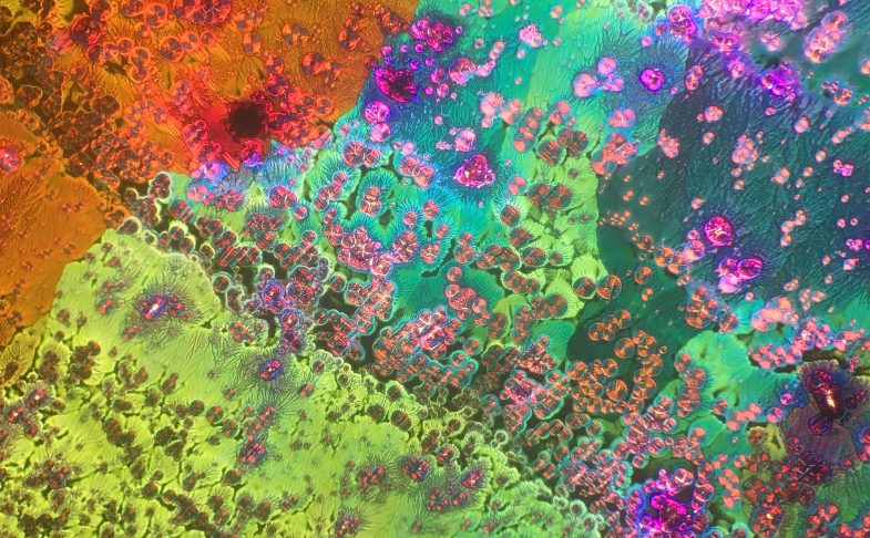 LIQUID CRYSTAL DISPLAY at Site Gallery