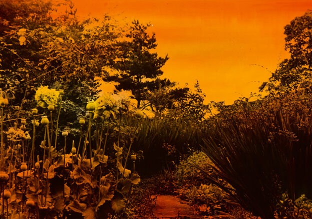 Li Yuan Chia: His Late Photographs at Whitworth Art Gallery