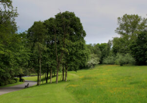 Thompson Park in Burnley