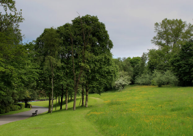 Thompson Park in Burnley