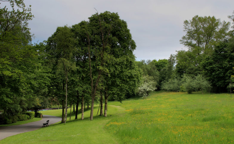 Thompson Park in Burnley