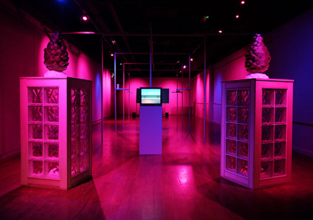 Joseph Whitmore: Into The Midst at Waterside Arts Centre