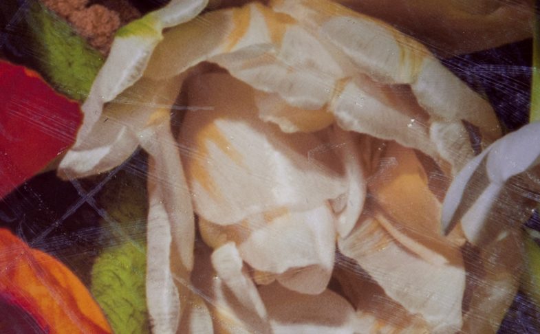 AFTERLIFES | Hannah Farrell at Caustic Coastal