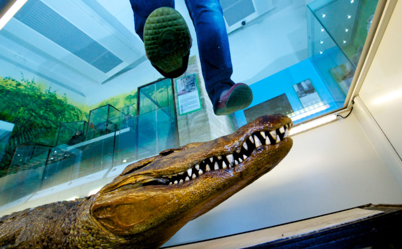 Wakefield Museum