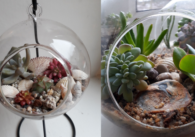 Terrarium Making Workshop