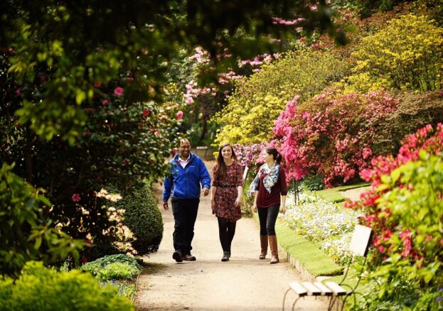 Summer gardens at Quarry Bank