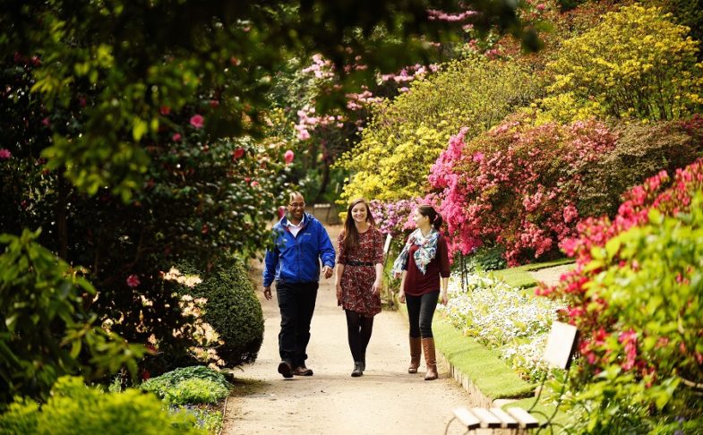 Summer gardens at Quarry Bank