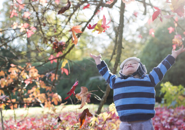 Experience The Magic of Trees at Beningbrough Hall, Gallery and Gardens
