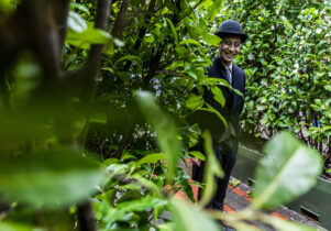A character in the bushes of the poisonous maze