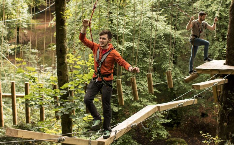 tree top trek heaton park manchester