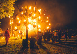 Night of Fire and Light - flames in a tree