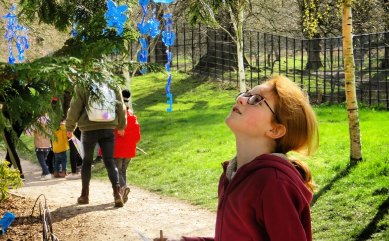 Boy looking up at a tree in the easter egg hunt