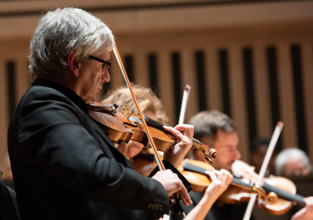 Raphael Wallfisch with Northern Chamber Orchestra