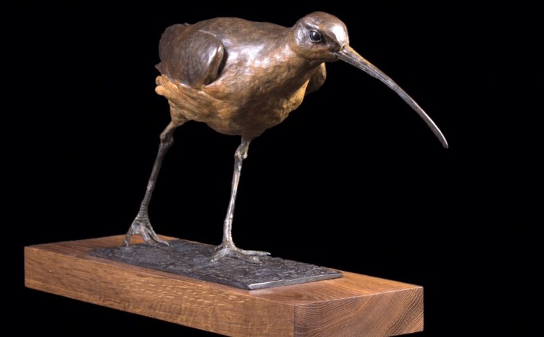 FORM - a celebration of contemporary British sculpture at Saul Hay Gallery