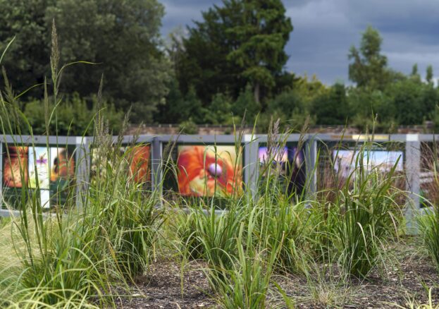 International Garden Photographer of the Year at Cannon Hall Museum, Park & Gardens