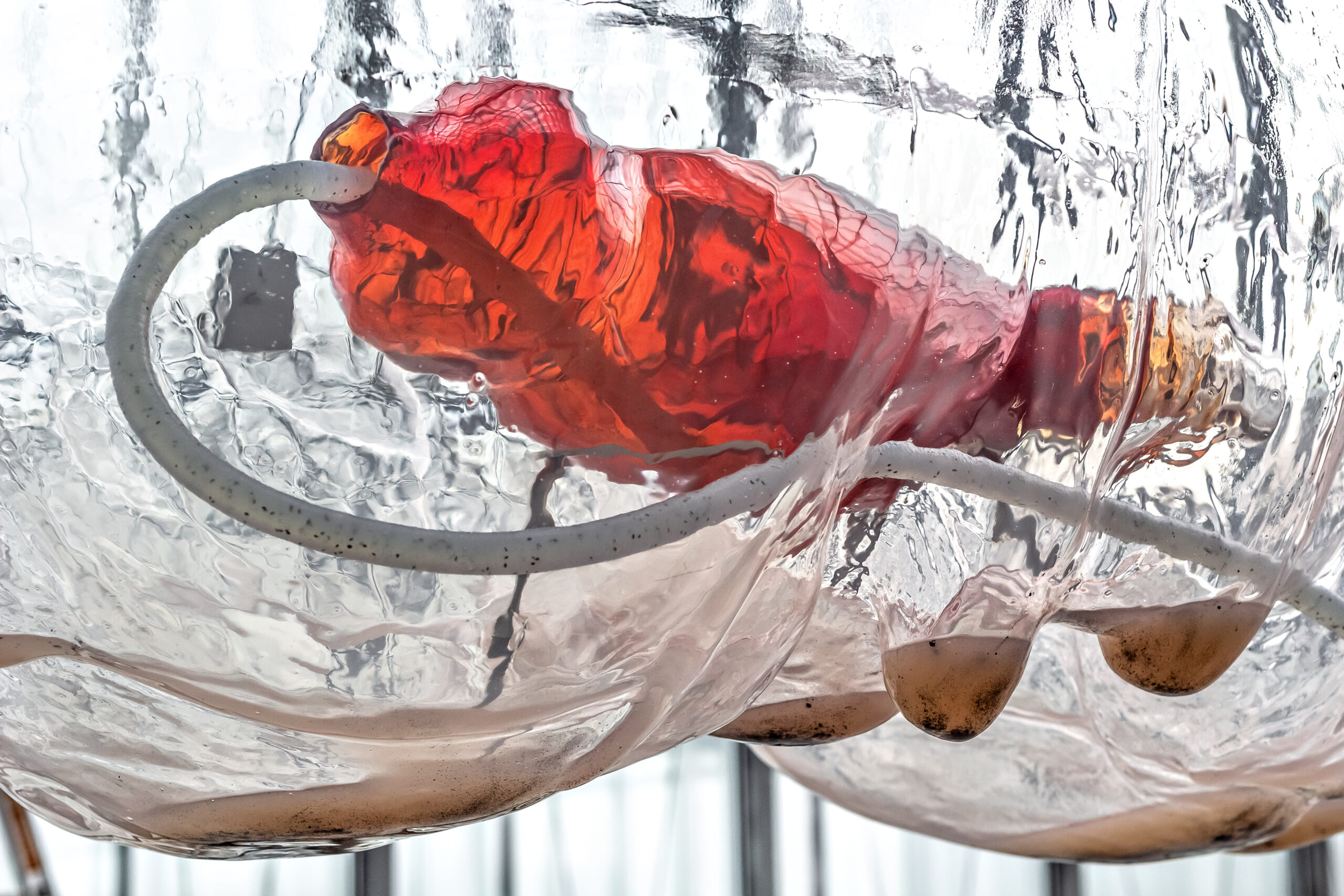 Pakui Hardware at BALTIC in Gateshead Creative Tourist