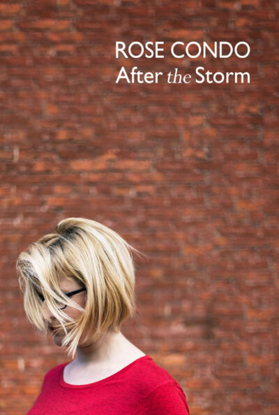 Rose Condo - After the Storm book cover