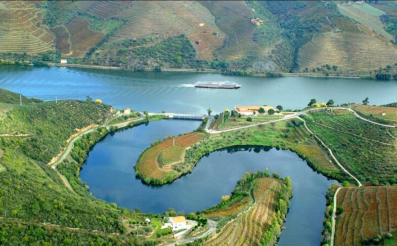 Eclectic Spain A Virtual Wine Tasting