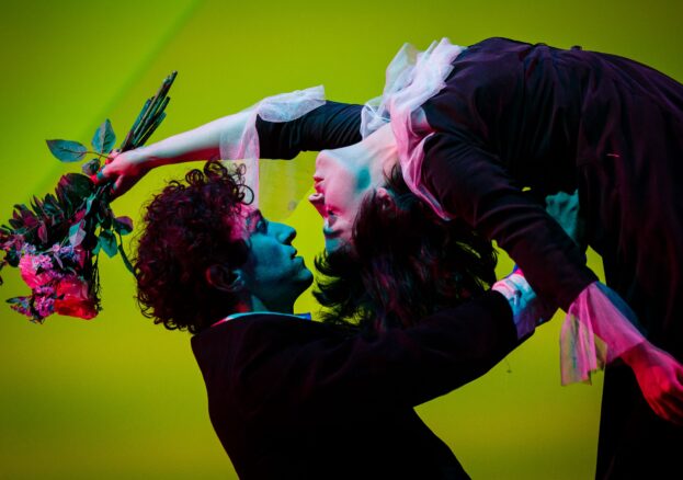 The Flying Lovers of Vitebsk - online