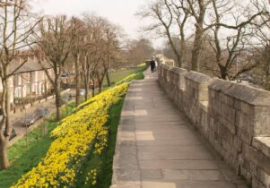 York City Walls / Wall Trail