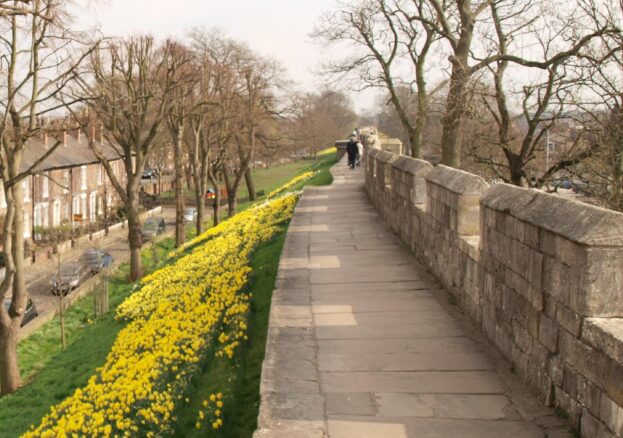 York City Walls / Wall Trail