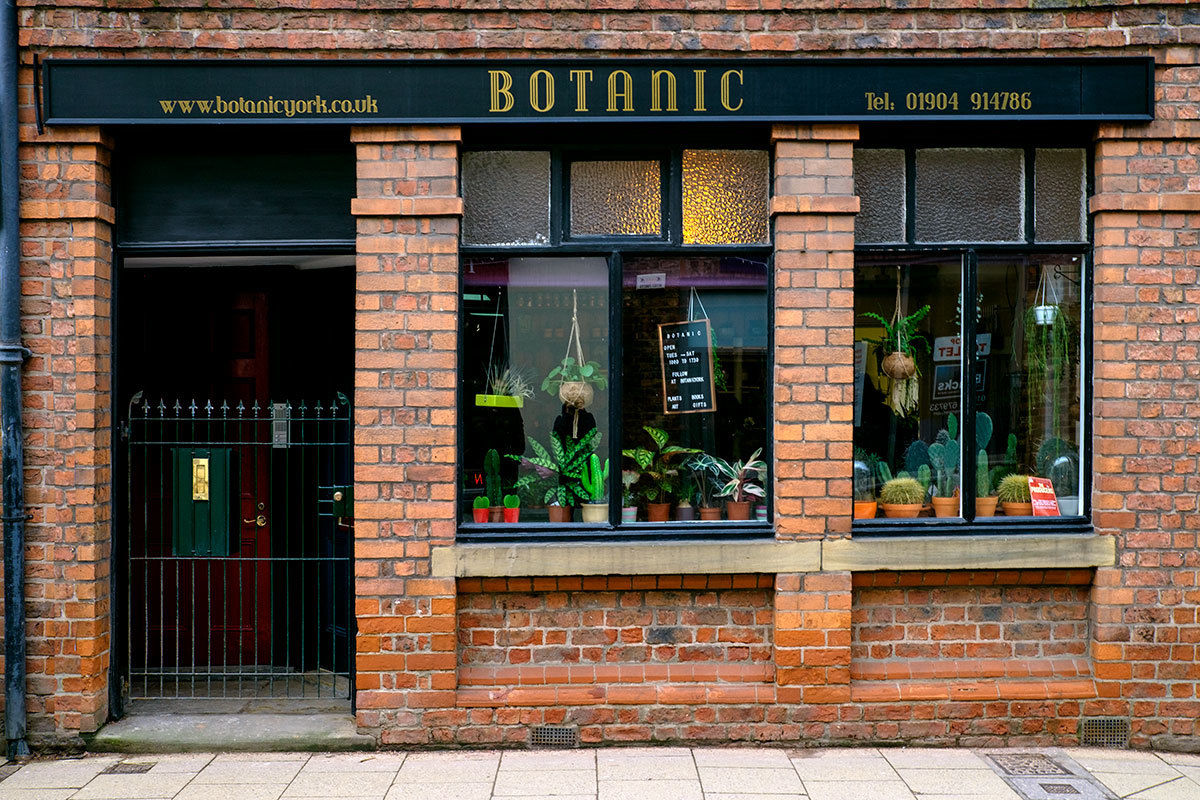 Botanic Plant and botanical shops in York Creative Tourist