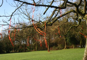 The Festive Tree Trail in the parklands of The Whitaker museum Rossendale