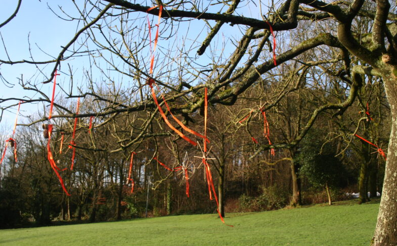 The Festive Tree Trail in the parklands of The Whitaker museum Rossendale