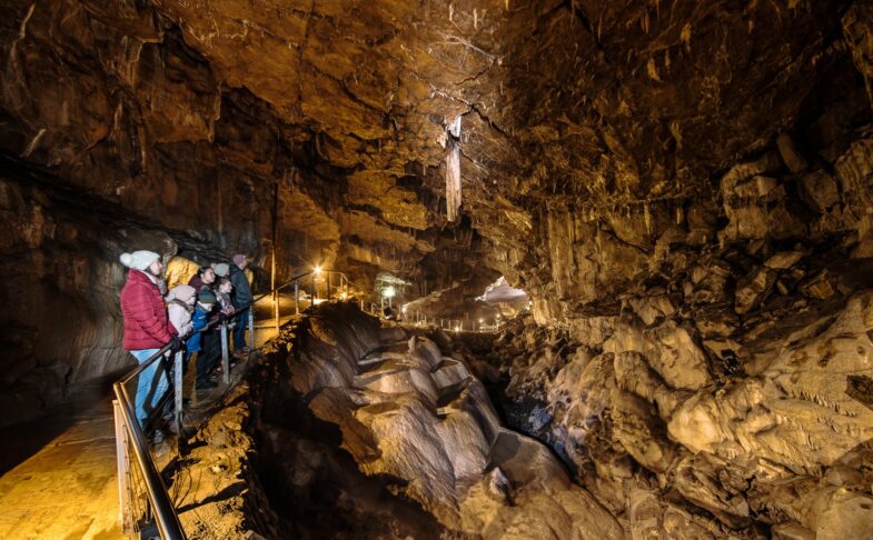Poole's Cavern & Buxton Country Park