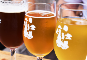 beer tasting