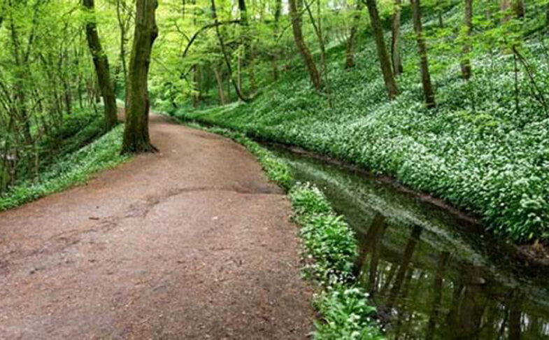 skipton castle woods