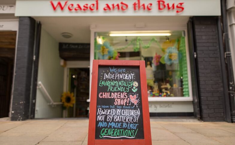 Weasel and the Bug, Chester