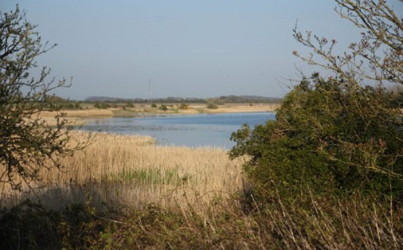 Marton Mere