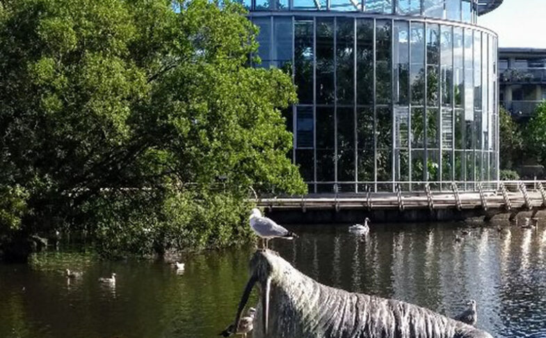 Sunderland Museum, Library and Winter Garden