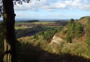 The Sandstone Trail