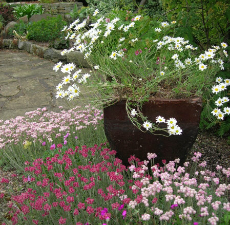 Slack Top Alpine Nursery and Garden