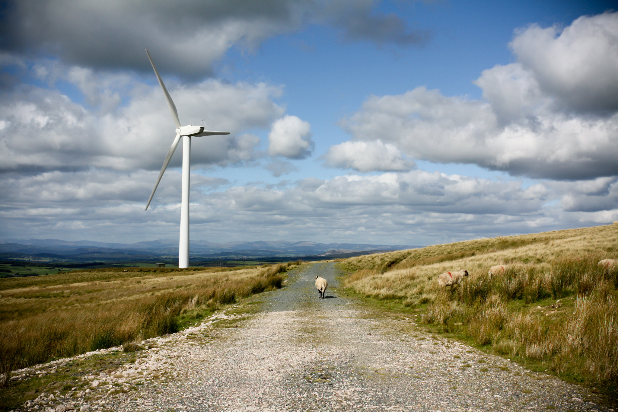 Walks in Morecambe and Lancaster I Tours and Activities Creative Tourist