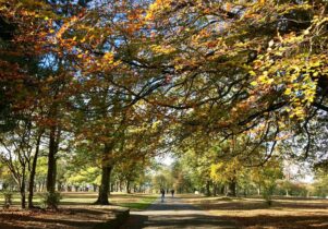 Woodhouse Moor