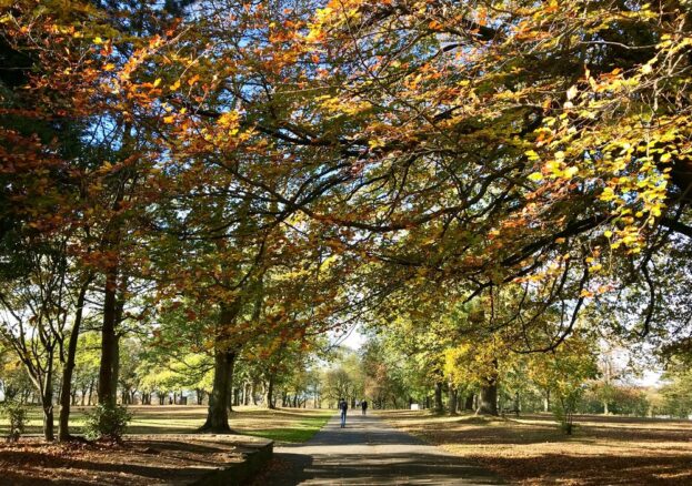 Woodhouse Moor